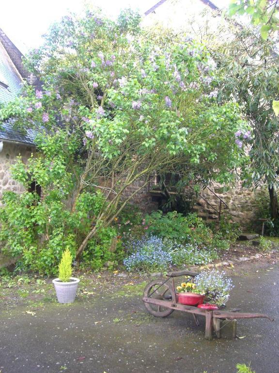 Gites De La Ferme Auberge De Mesauboin Billé Buitenkant foto